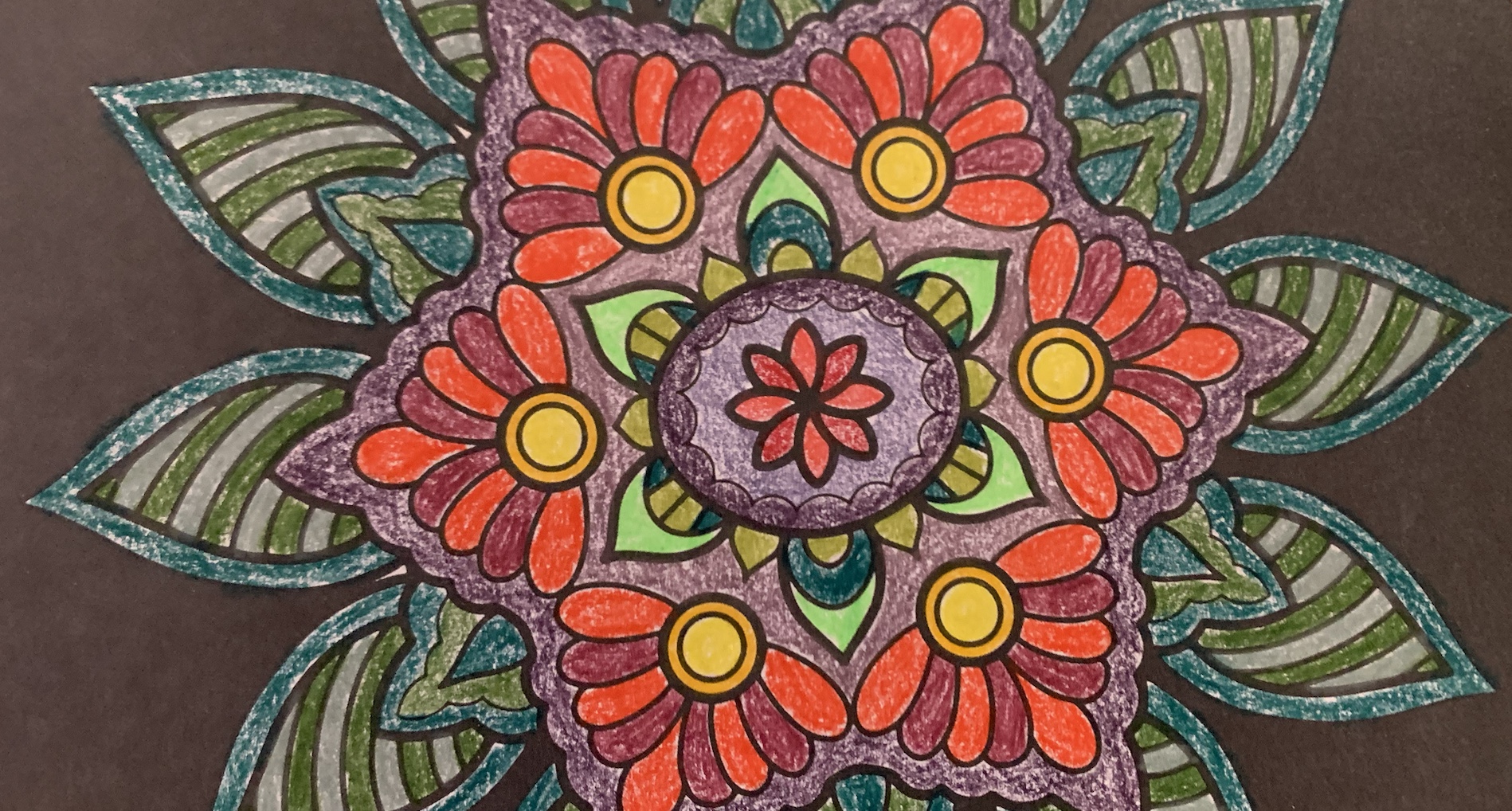 89C45053-684C-416A-9295-D047993B8CC8