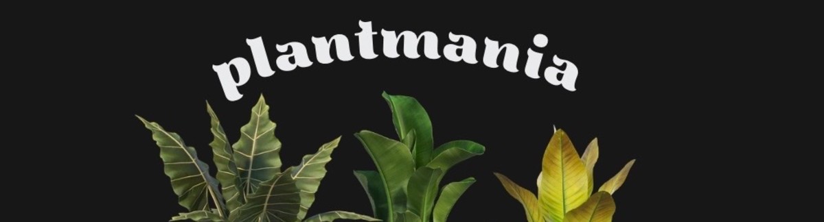 1444195A-48C1-477A-AE64-1C48DF374DC7_4_5005_c